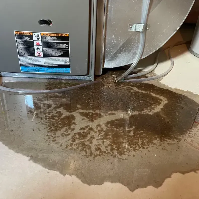 Appliance Leak Cleanup in Samoset, FL